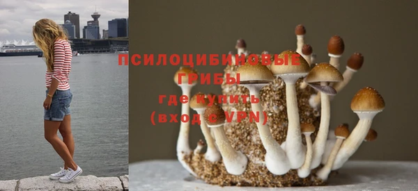 кокаин премиум Горняк