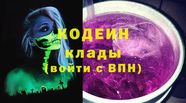 прущие крисы Вяземский