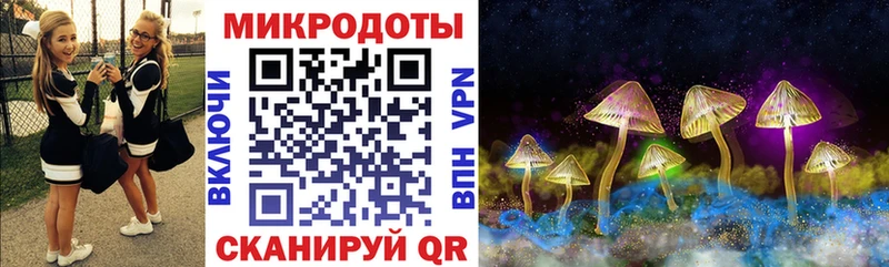 kraken ТОР  Горбатов  Псилоцибиновые грибы GOLDEN TEACHER 